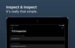 TLS Inspector screenshot 2