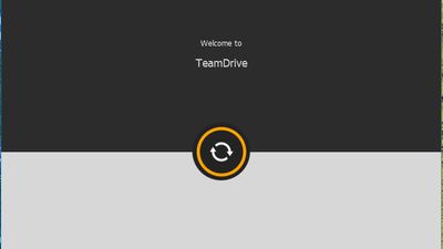 TeamDrive start display.