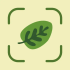 Leaf Identification icon