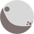 TRITON icon
