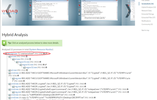VxStream Sandbox screenshot 2