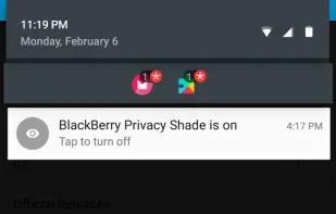 BlackBerry Privacy Shade screenshot 3
