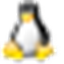 fcitx icon