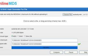 Online MD5 Checker screenshot 1