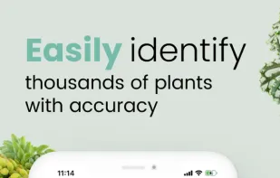Plant ID Match screenshot 1