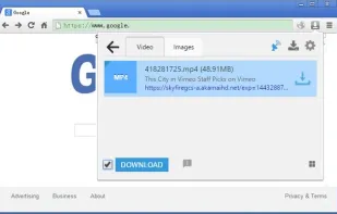 Download Plus screenshot 2