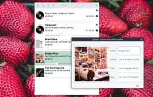 LPlayer screenshot 1