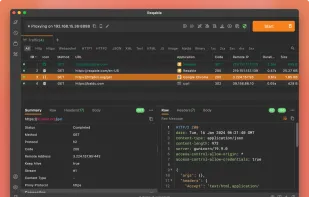 Reqable screenshot 1