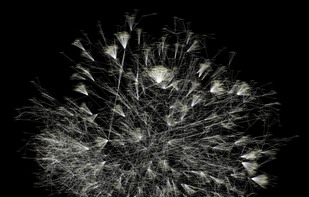 Cytoscape screenshot 1