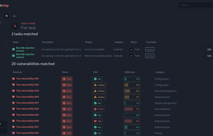 Reconmap screenshot 2
