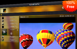 Aunsoft VidPie screenshot 1