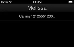 Callcentric screenshot 3