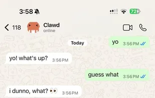 Clawdbot screenshot 1