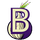 Tor Bridges Collector icon