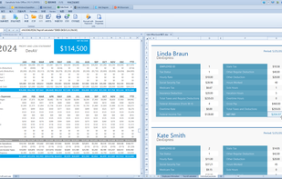 Vole Excel is editing 2 English excel document.