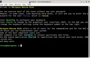 Mariposa console start
