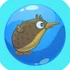 Kiwi Kapers icon