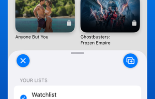 Cronica screenshot 3