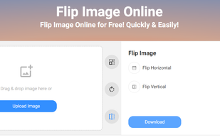 Retoucher Online Image Flipper screenshot 1