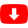 y2mate.dog icon