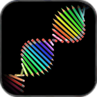Neural Art icon