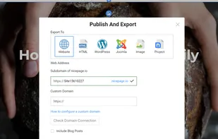 Nicepage Export Options