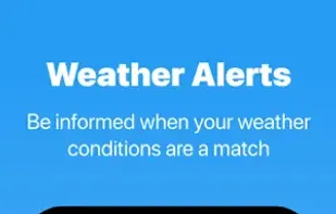 WillyWeather screenshot 2