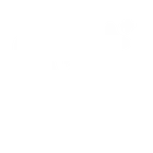 LLM Automatic Translation icon