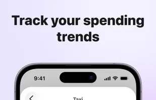 Budget Hound screenshot 2