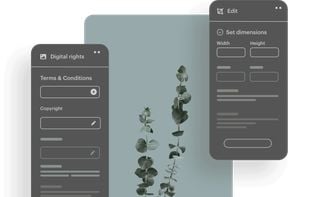 Custom rights, restrictions and templates