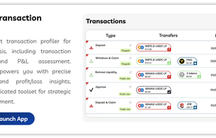 Advanced Transaction Analysis