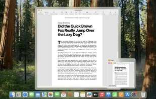 DockDoor screenshot 3