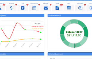 MDVision EMR screenshot 1