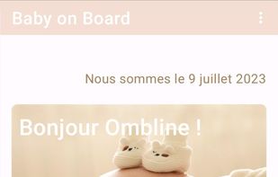 Baby on Board screenshot 2