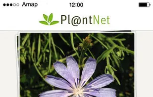 Pl@ntNet screenshot 3