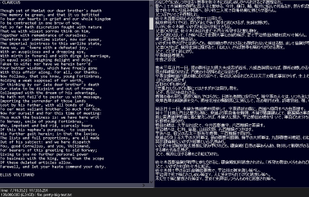 Large text viewer screenshot 1