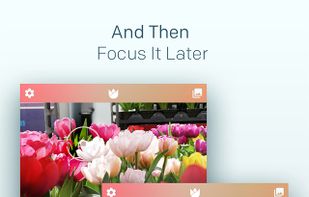 Live Focus screenshot 1