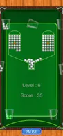 100 Pool Balls Game screenshot 3