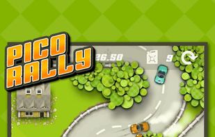 Pico Rally screenshot 1