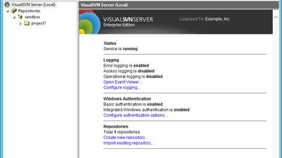 VisualSVN Server screenshot 1