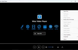Wise Video Player screenshot 2