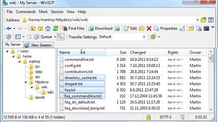 WinSCP : WinSCP, a popular free SFTP and FTP client for Windows, copies ...