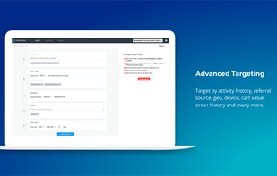 Our targeting allows you to segment your visitors very specifically which can drastically improve your conversion rates.
