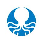 Octopus24 icon