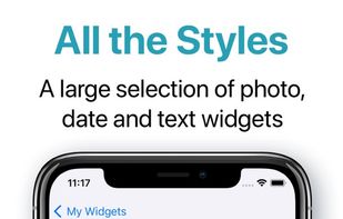 Widgetize screenshot 2