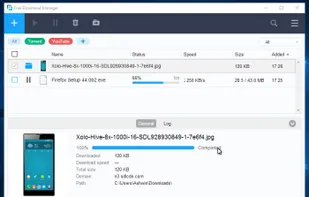 Free Download Manager screenshot 3