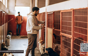 Moment Page screenshot 1