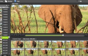 Vidine screenshot 1