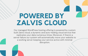 Zalvis.com screenshot 2