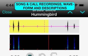 iBird Ultimate Guide to Birds screenshot 1